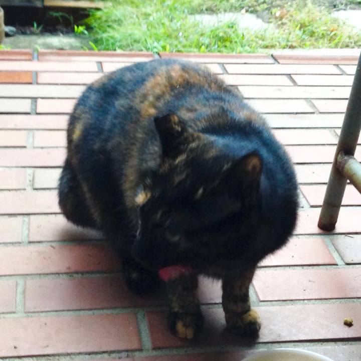 Dcb4bcdb 6d45 42fa 8dfd 1eeef095d1fb