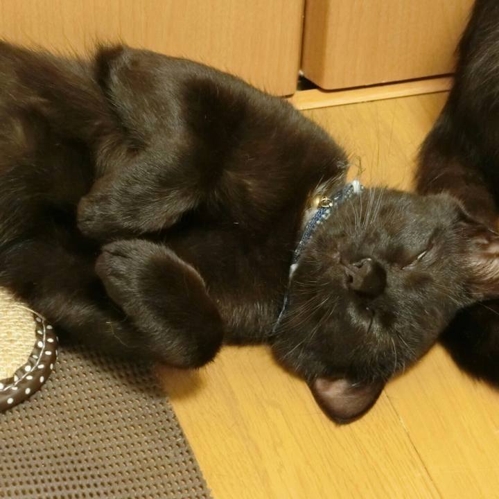 Dcb5a503 4ef1 4742 bf4f 6247e9856d8c