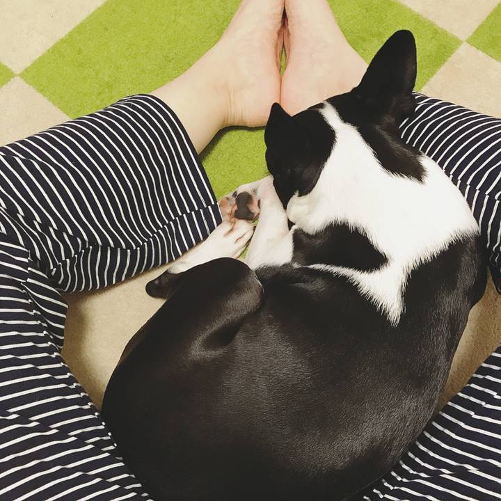 Dcb5eb8c 44b9 479d 83e4 19fea0546fcd