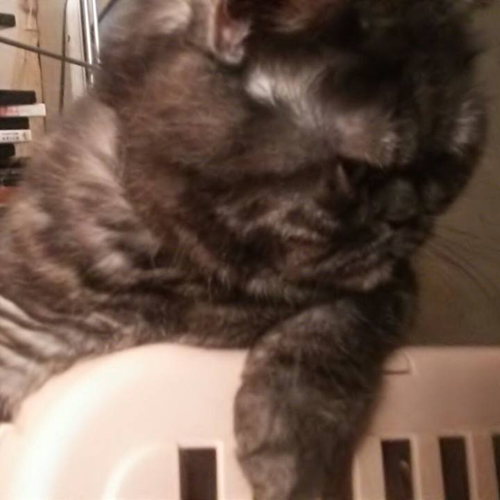 Dcb68dc4 f75b 40a2 a35d c6753bb131da