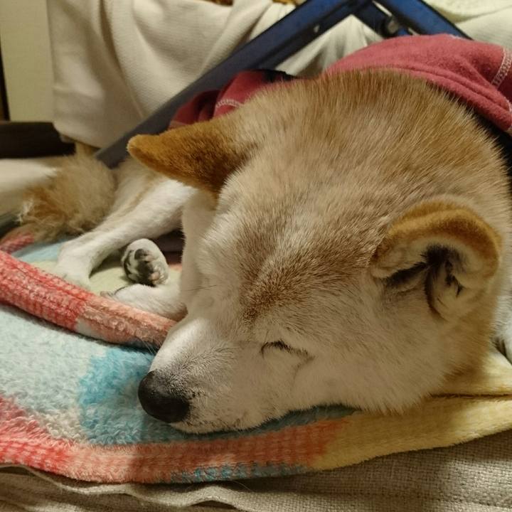 Dcb6dde2 cb87 4251 84ea bc2d1edb0aeb