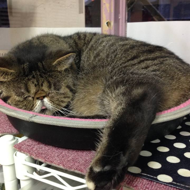 Dcb7718e 3aed 4d97 8fb3 117cf229ad8a