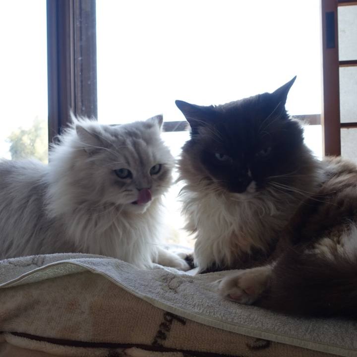 Dcb7ae64 b7a0 4a30 93f5 9016f9f491ff