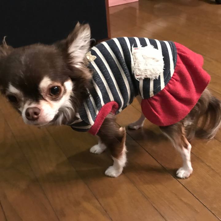 Dcb8bf45 f9b2 44c5 b45c f8b4a1e2c7f7