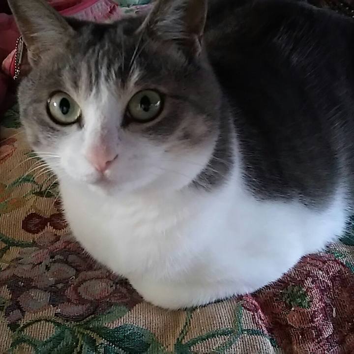 Dcb95c66 e69e 4603 b59b 430933260fff