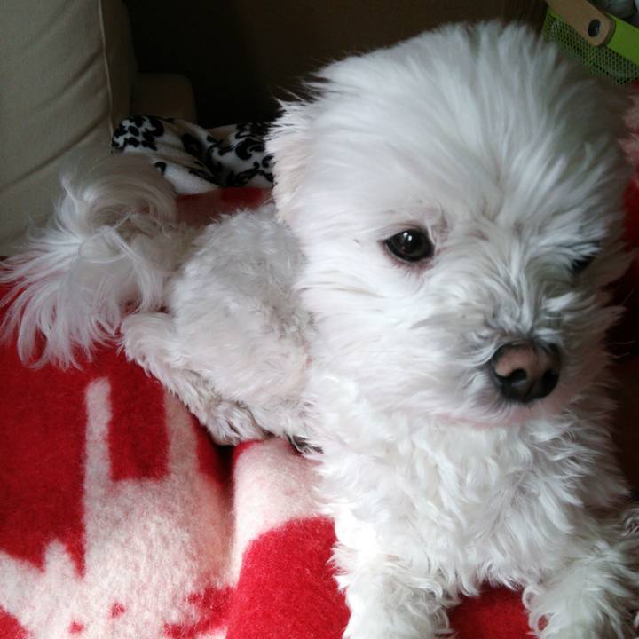 Dcb96fc2 d20e 457a 8437 0576f5cd0b3a