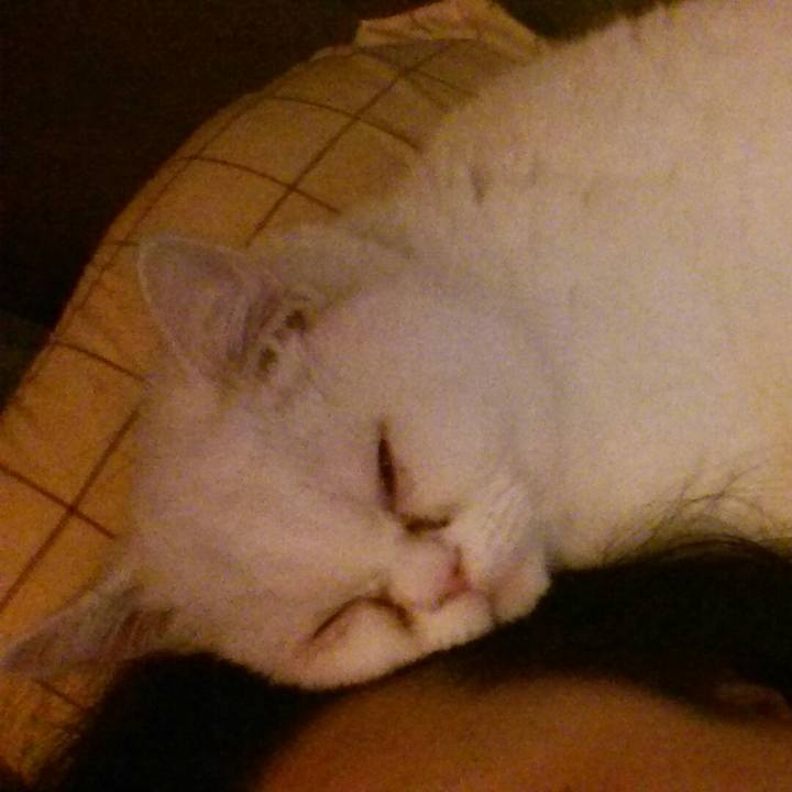 Dcb9a9e7 42a3 4281 9981 ae625021551f