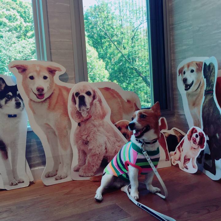 Dcba8d15 bf08 45fe bbb3 3f0d21d56089