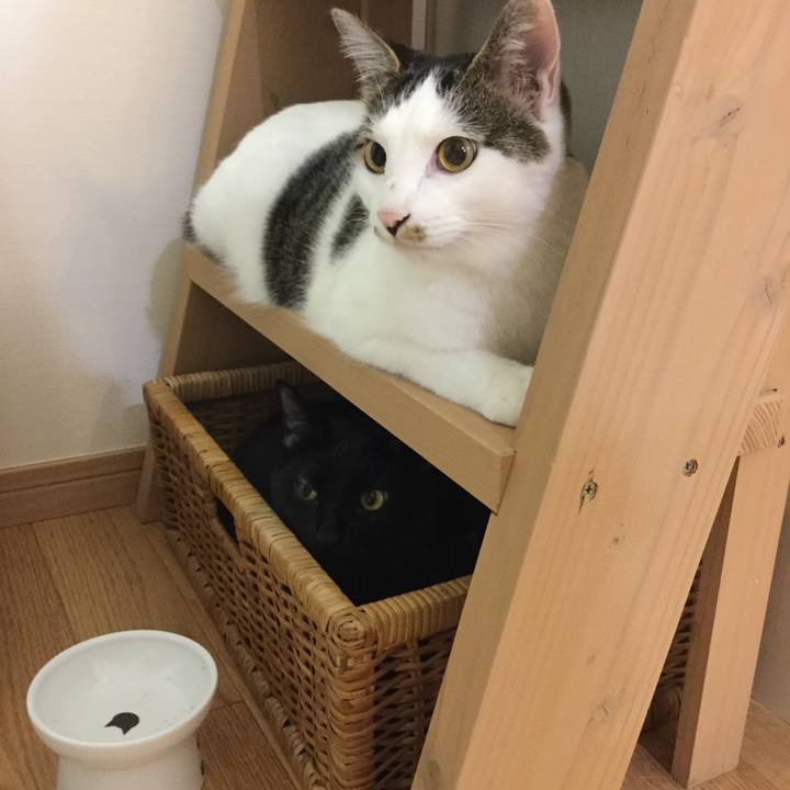 Dcbb9174 a42b 4d8c 9cee e761205e1021