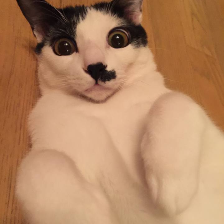 Dcbb9e0b 5ae2 4d68 b2ce 79e20792a995