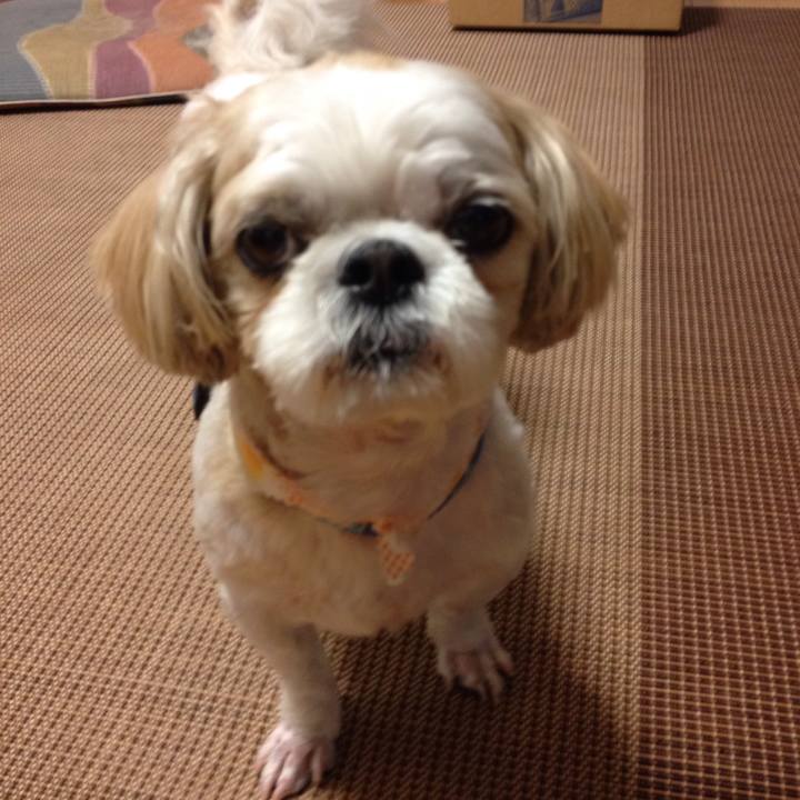 Dcbba41f 7c87 4bd8 8a97 bcb233890e5d