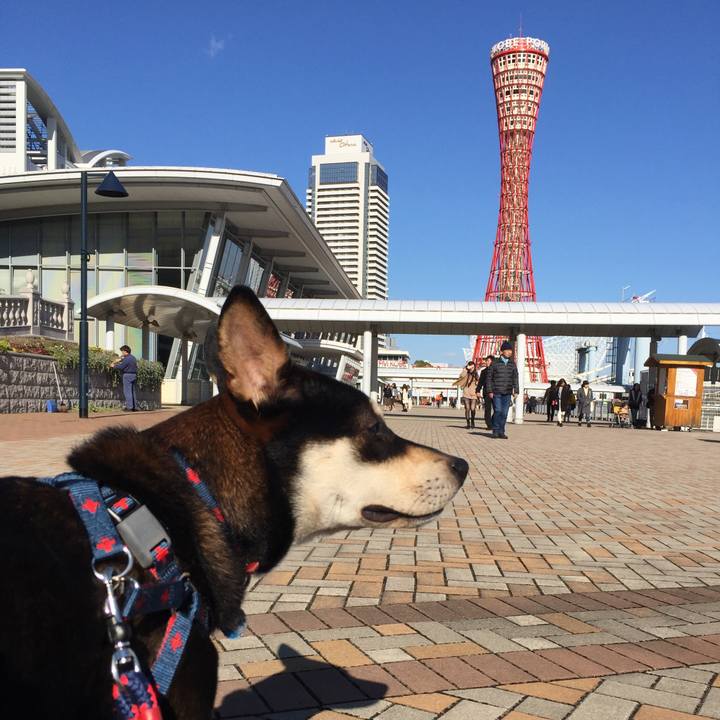 Dcbc25bb 8320 4f18 806e 3f248635a2dc