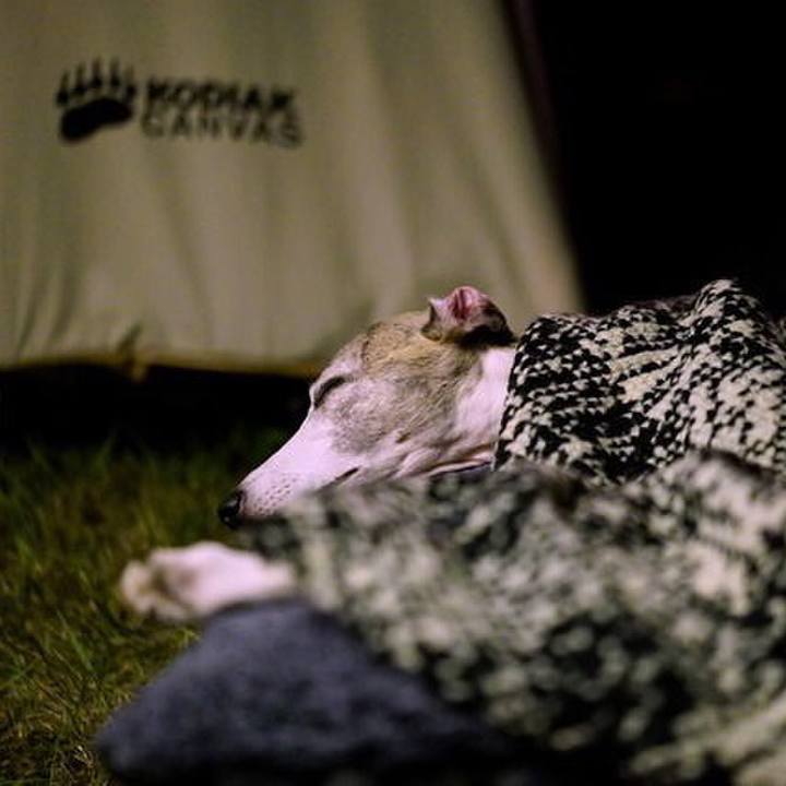 Dcbcee8e e749 42e6 8c48 0f0b31098948