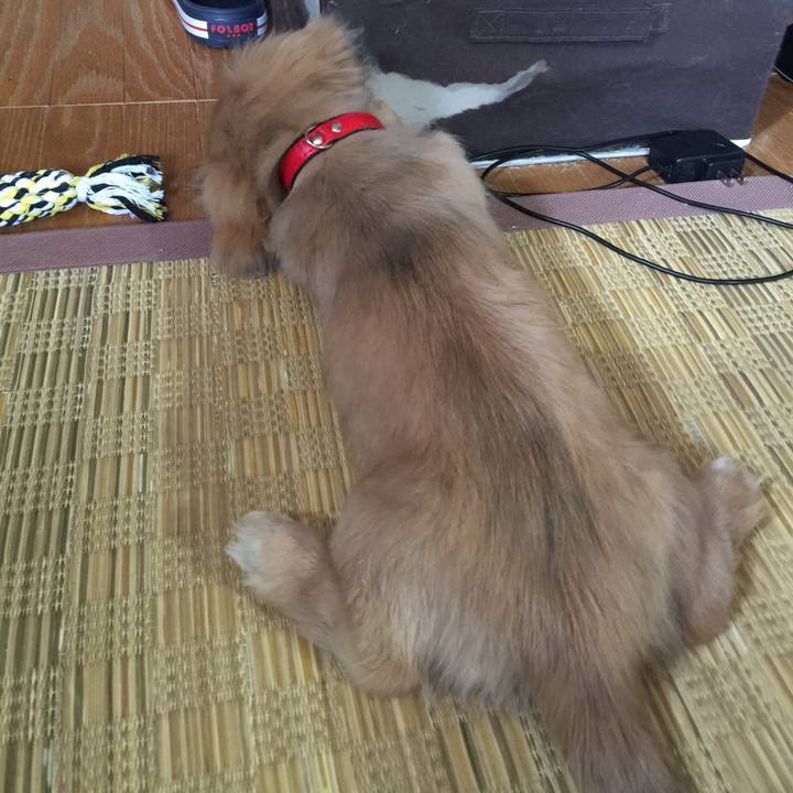 Dcbd1a55 9ee4 4809 bb64 a2b34f860562