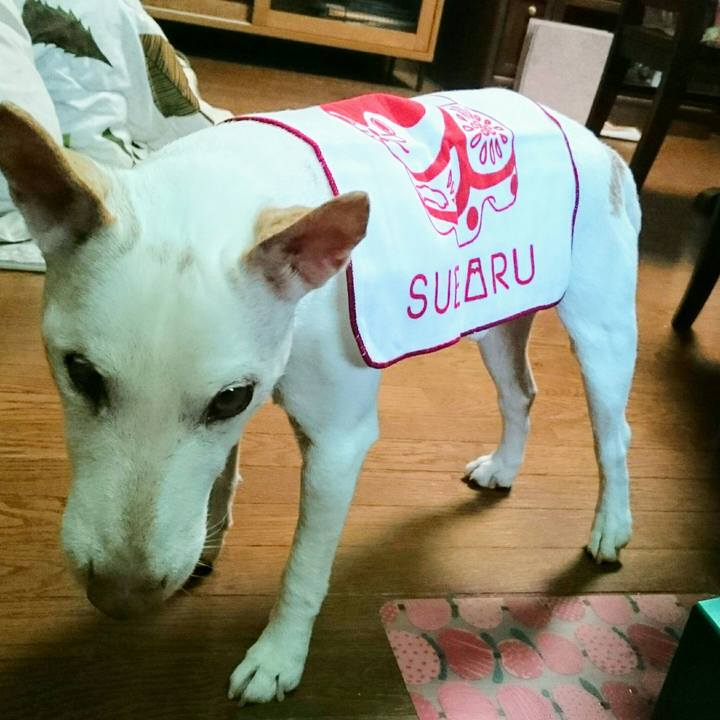 Dcbd4f59 8788 4978 906b e02ca4d435d8