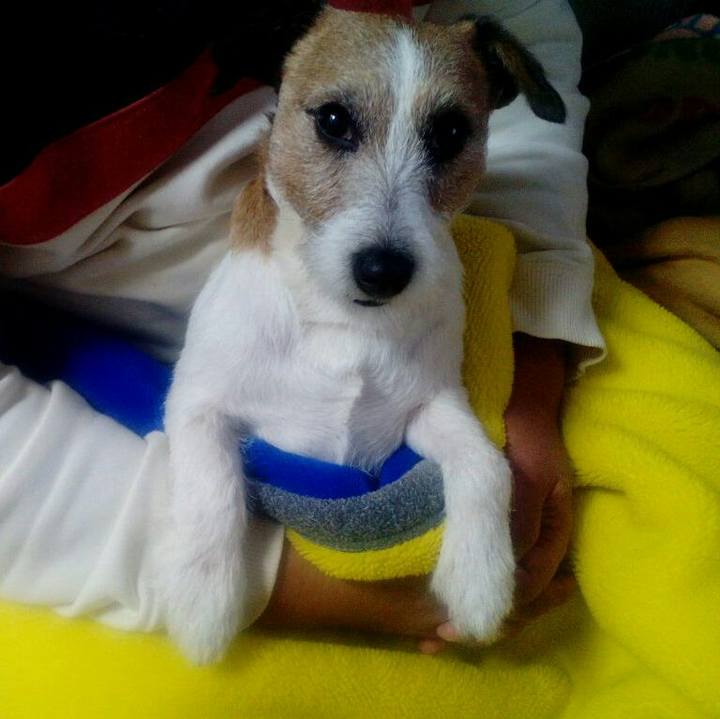 Dcbdc011 7994 4e18 871f a6cc6407863f