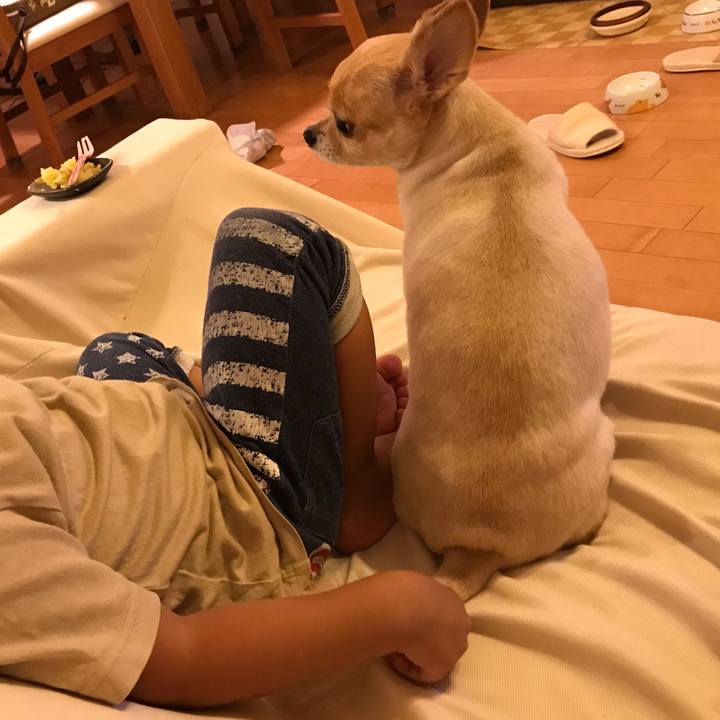 Dcbe2739 9311 4be1 a549 a7f888bbbe22