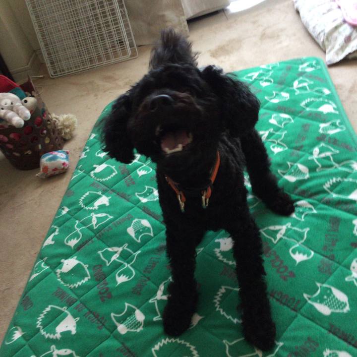 Dcbe40dd 6bcb 4223 bf15 8bf28c46b481