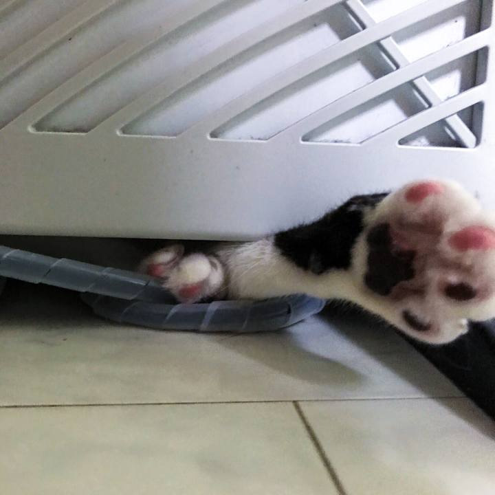 Dcbf23fa 2c60 497d b38b a1c2b8965fc5