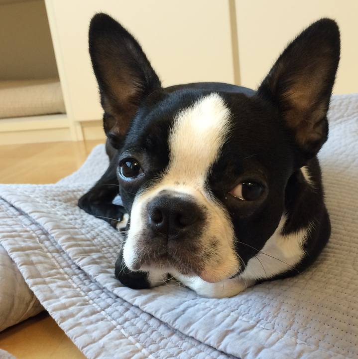 Dcc034db f9b6 4009 b10b ece05d02cc82