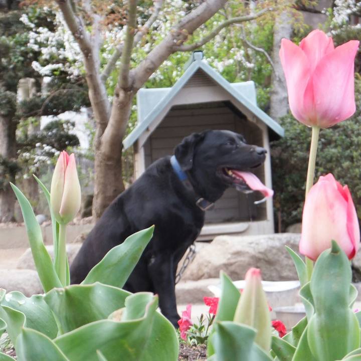 Dcc0e01a 44a5 402a aa77 2fb5b43bf1cc