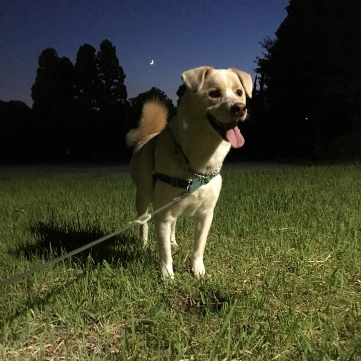 Dcc14422 7ee1 4fc3 8afe eb0f205fa6f1