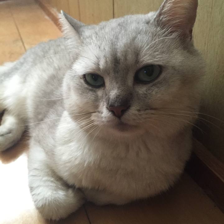 Dcc1c592 04d0 43b7 ba80 ec425a95a729