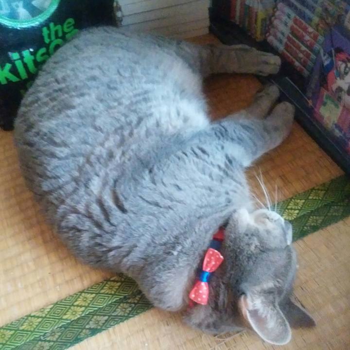 Dcc1daa9 1906 4df3 bdba 4fac97349695