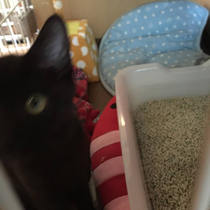 Dcc1de1a c0d9 439e 88f8 8c4396a08be3