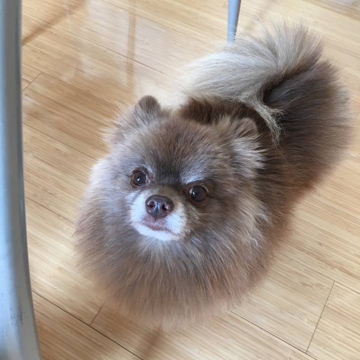 Dcc27410 6a81 444c 8ab4 c7583999a4f1