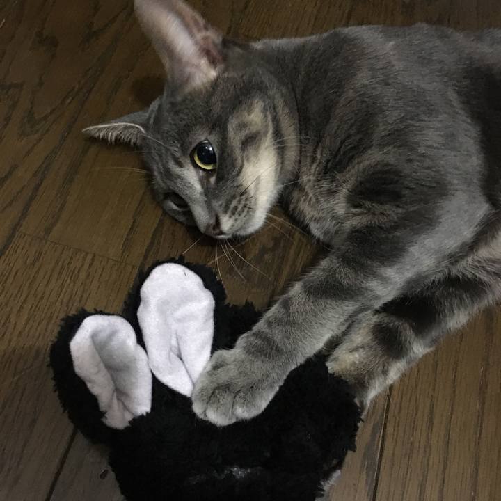 Dcc30595 969e 4b9a 896b 18d7ff4ebb87