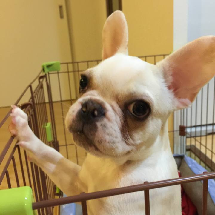 Dcc31ea7 541c 4e0d 8a95 dab47287454e