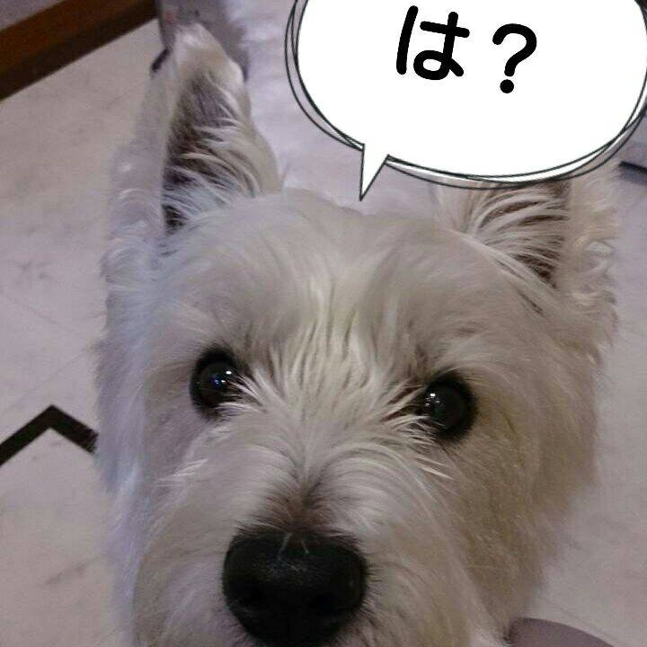 Dcc3cfbc 05f0 4ad2 80ed 1efffc9c1398