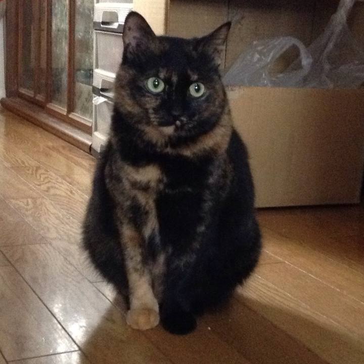 Dcc3f08e 43d9 4904 a865 e954e4f6a18f