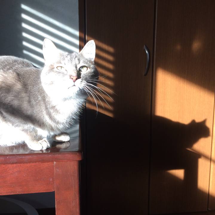 Dcc504ec 0a24 444b 8ac1 438e26cc6fc9