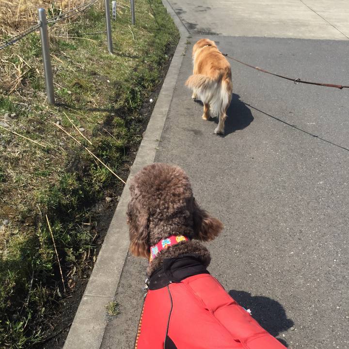 Dcc55f0a 8247 4fb6 8d88 9aa79057e1be