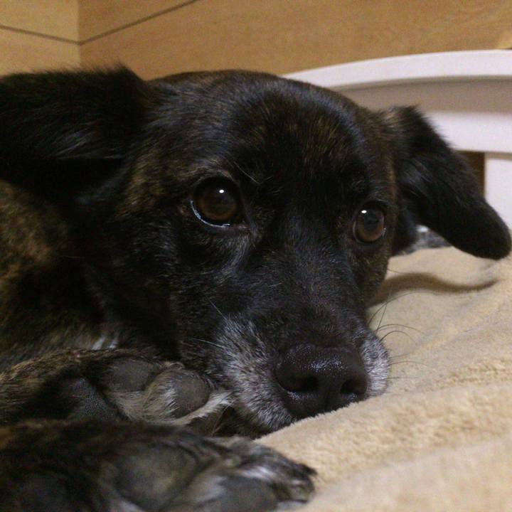 Dcc5bc85 817d 43c1 8160 61754e579cb4