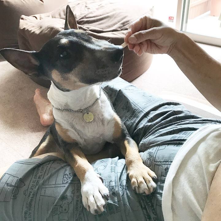 Dcc615da 3834 42de 9c55 bd922bc66093