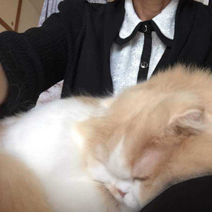 Dcc62d7e 958f 4b8d 873b 2a79b37117e1