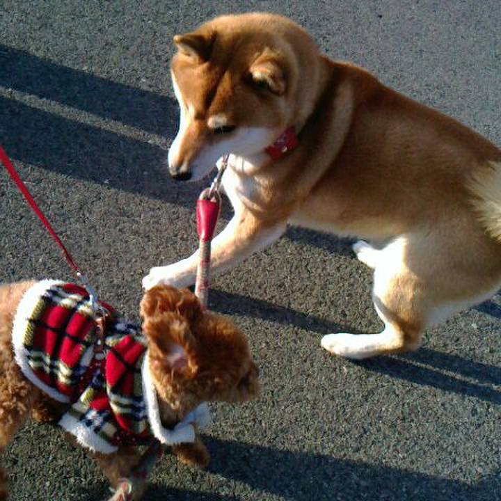 Dcc65220 bd8e 4685 8bfe 06f6f94e7d6b