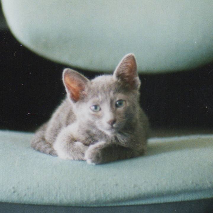 Dcc678a9 0e3e 481b 88a5 4671310659d0