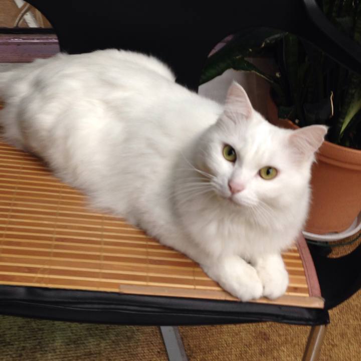 Dcc6c521 fb11 4a64 909a 1645c73a397e