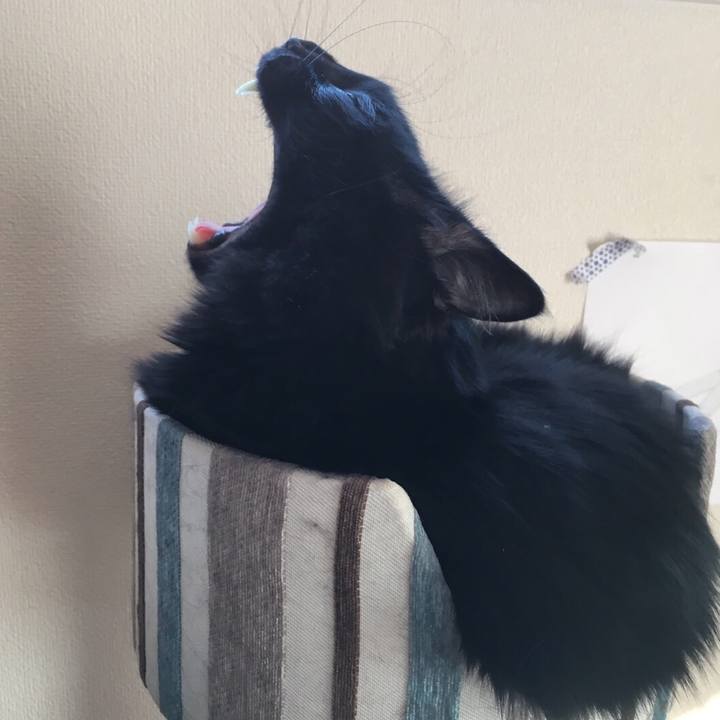 Dcc6cb52 555a 4c01 8f8a 8323632260e1