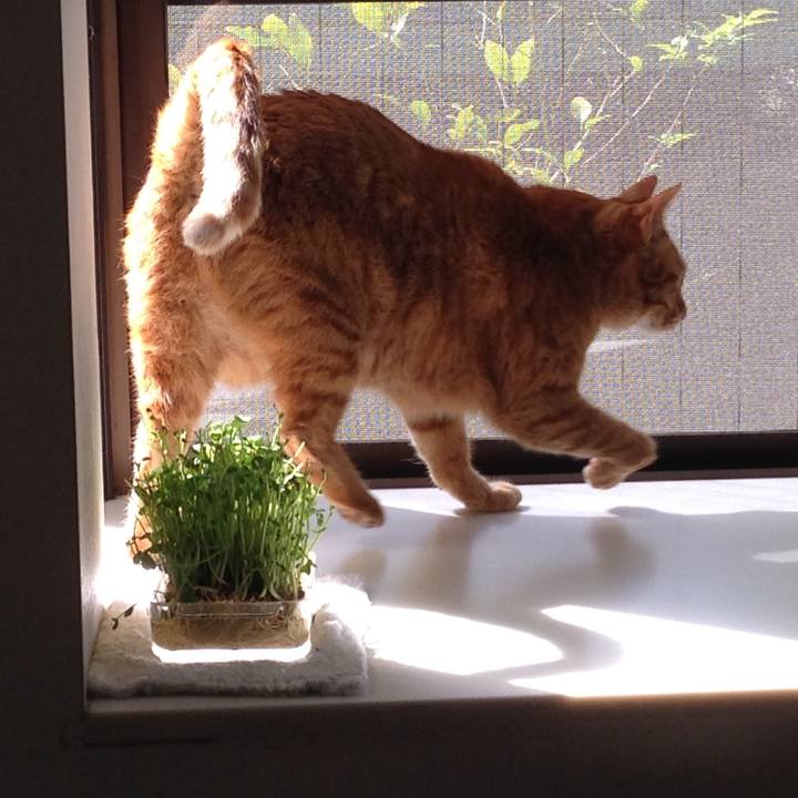 Dcc6fd19 a401 4f62 9775 d0e0fd806685