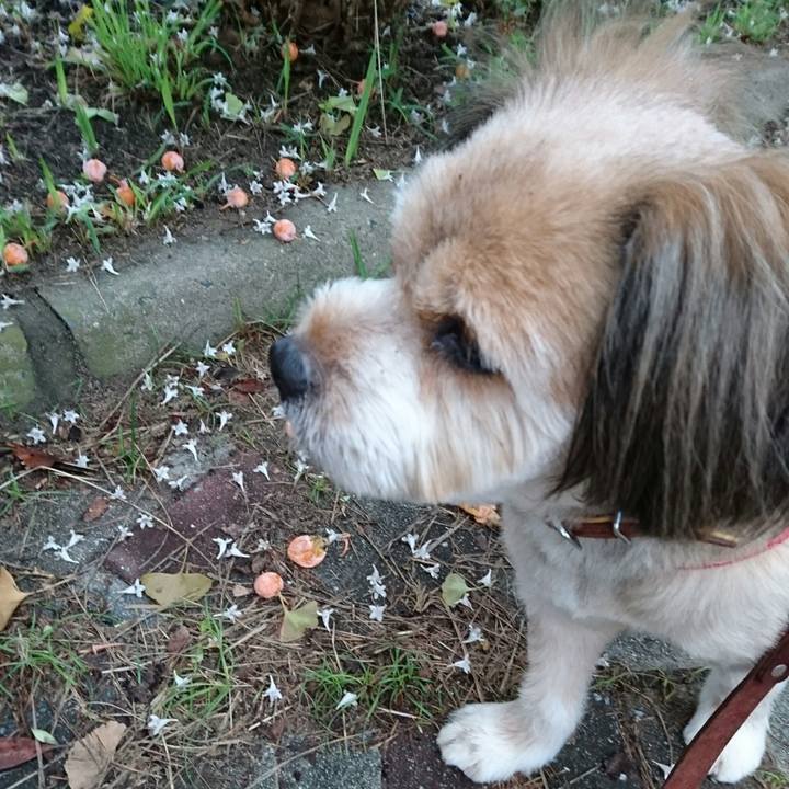 Dcc7cbc7 cd3c 4464 be55 428196c6c7ee