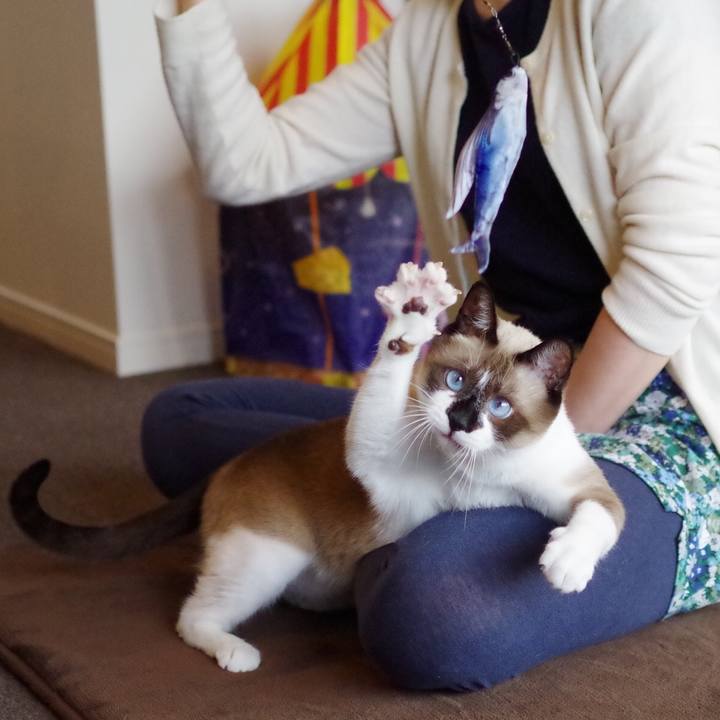 Dcc8310e 5f92 493f 8bd1 a35d9d87b943