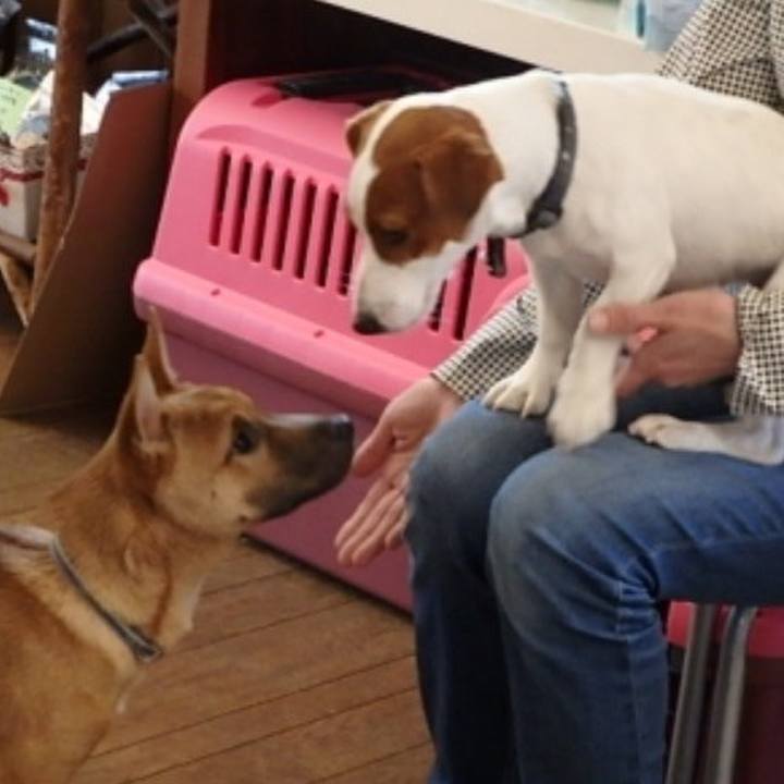 Dcc8a966 aa88 4fff 85a7 b7bfe8416891