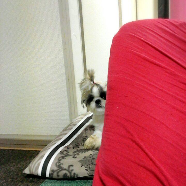 Dcc8d1d3 5d0f 42d7 8ff1 0a87372291a7