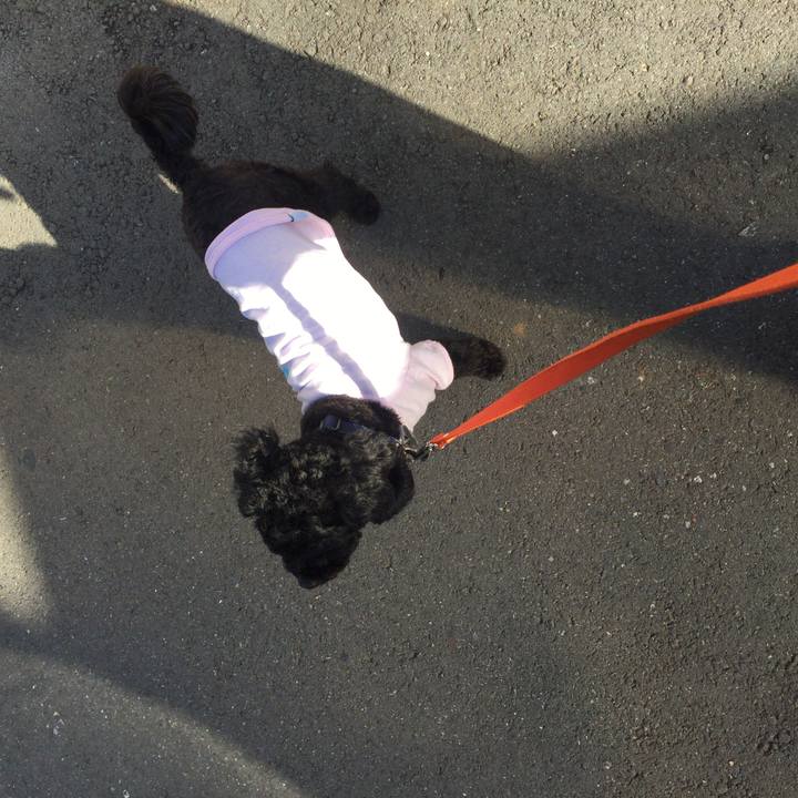 Dcc93118 faa3 48ec a385 66af44cc973e