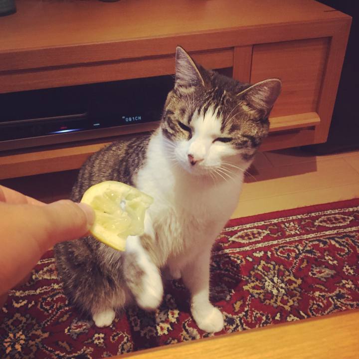 Dcc9eb33 106e 46ae b9f1 7760b5faf04e